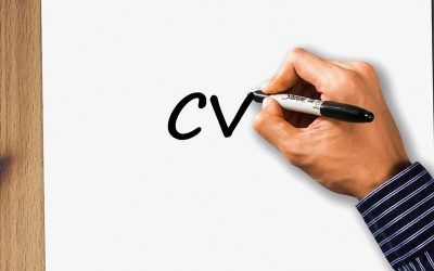 Professional CV’s