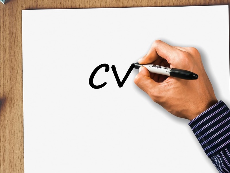 Professional CV’s
